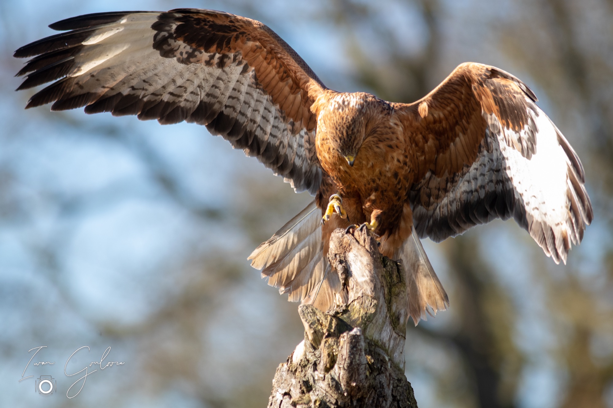 04 maart 2022 150014 1DX43812